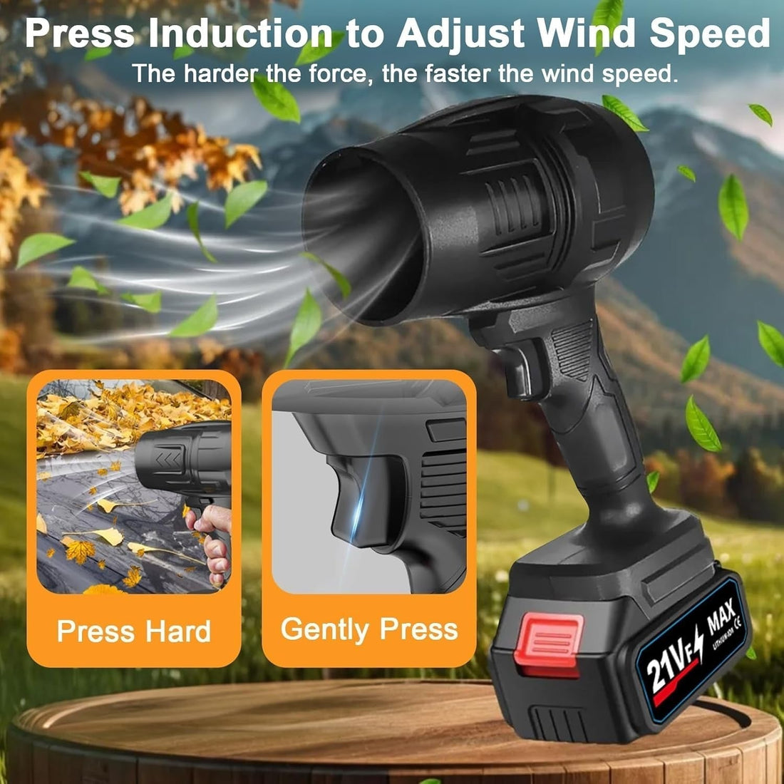 Jet Blower with Charger & 2 x Battery